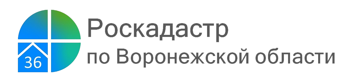 Землеустроительную документацию теперь выдают в течение суток..