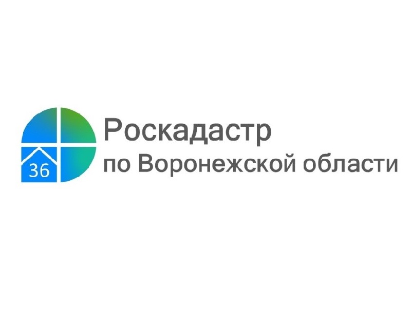 За полгода воронежцы заказали в 30 раз больше электронных выписок из ЕГРН, чем бумажных..