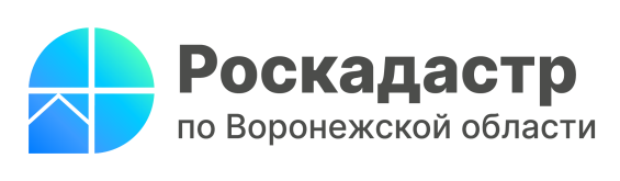 В Воронежской области оцифровано 100% кадастровых дел..