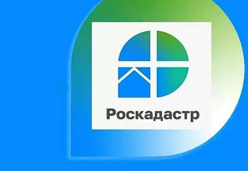 Региональный Роскадастр подвел итоги первого года работы.